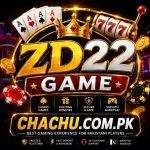 ZD22 Game